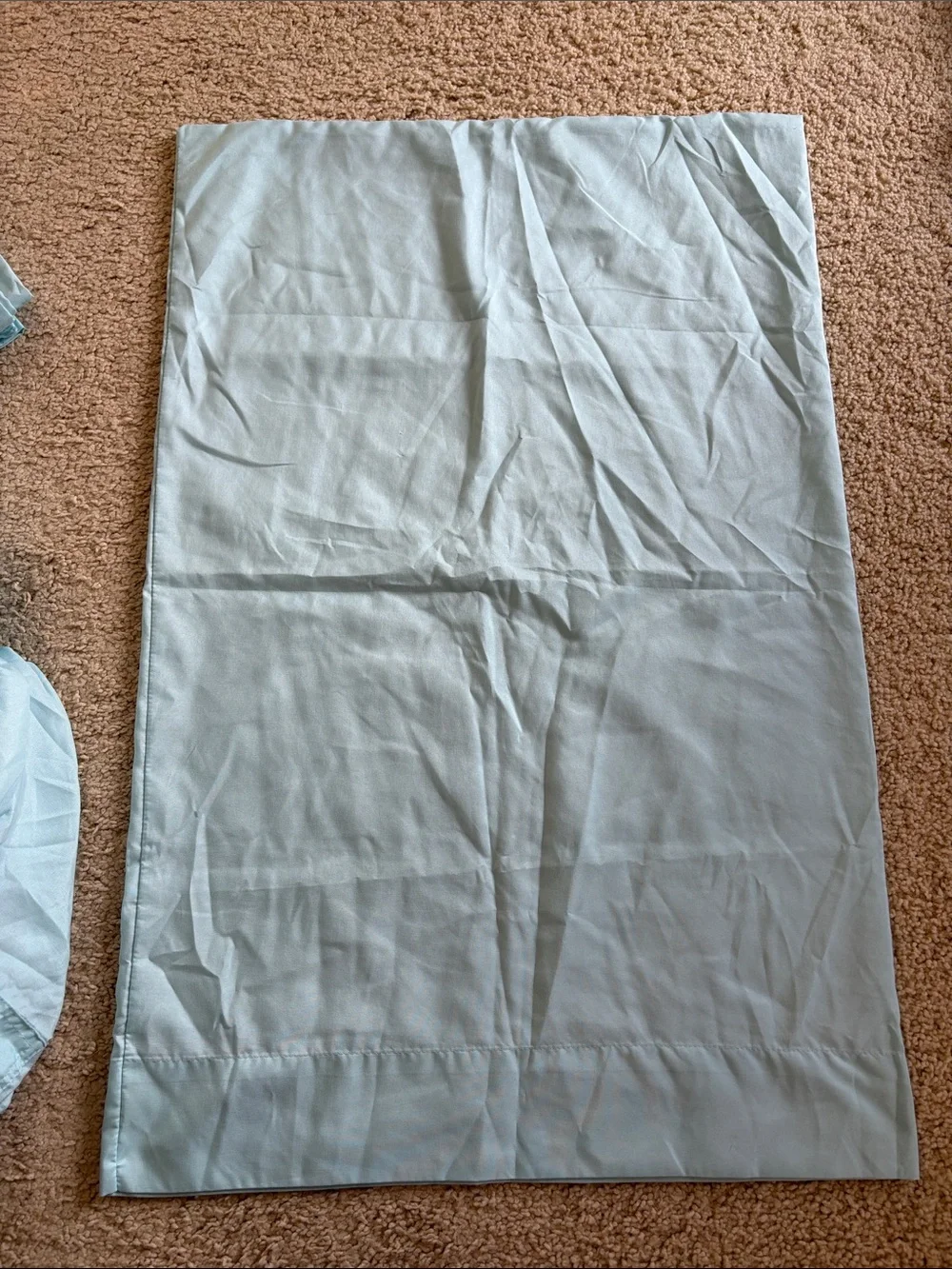 Alex and Zoe XL Twin Sheet set